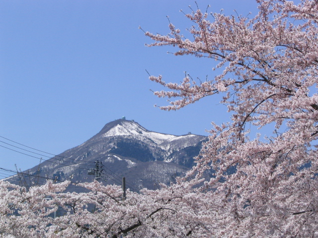 桜と釜臥山